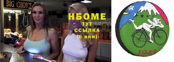индика Вязники