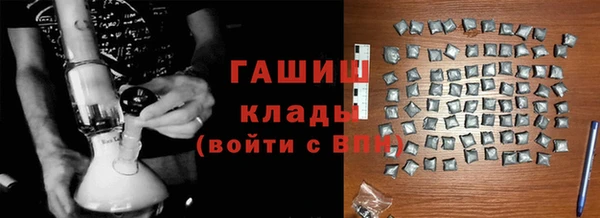 гашик Вяземский