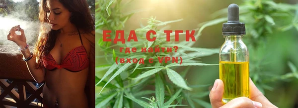 гашик Вяземский