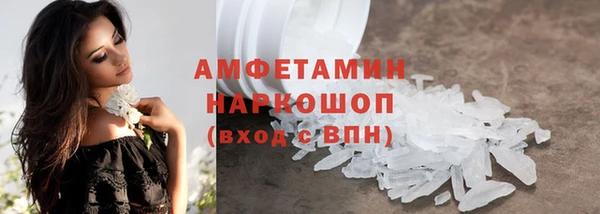 гашик Вяземский