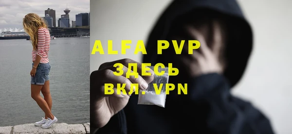 гашик Вяземский