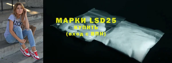 гашик Вяземский