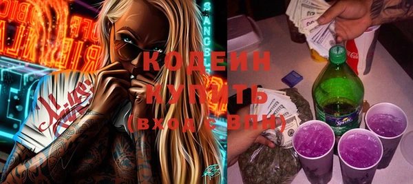 гашик Вяземский