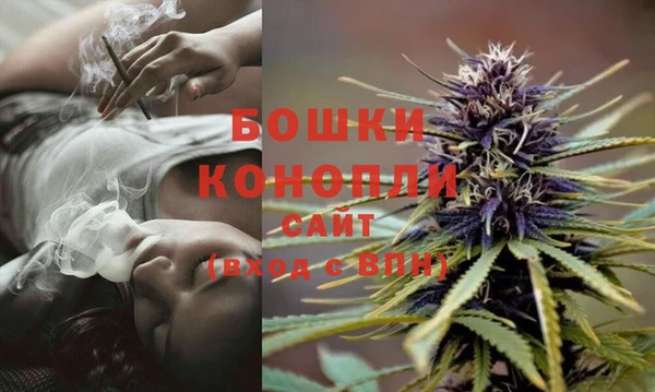 индика Вязники