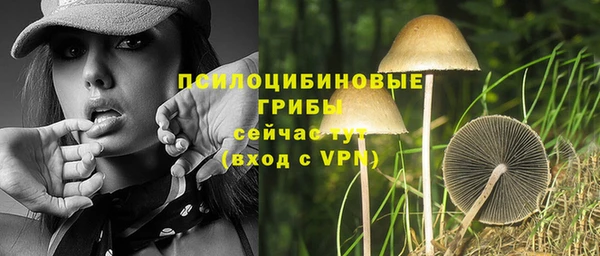 гашик Вяземский