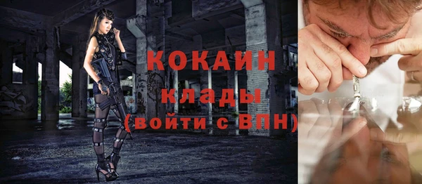 гашик Вяземский