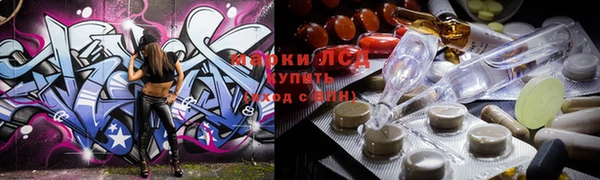индика Вязники
