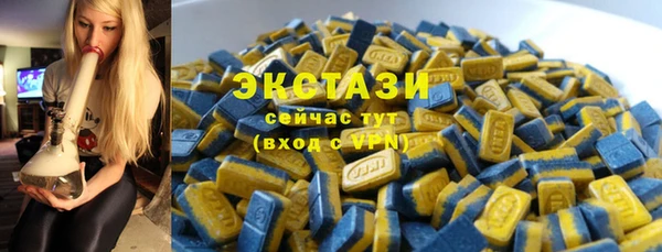 гашик Вяземский