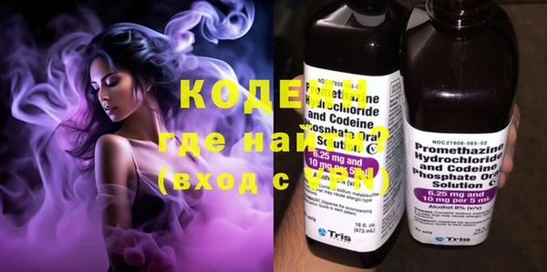 индика Вязники