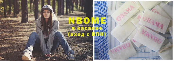 индика Вязники