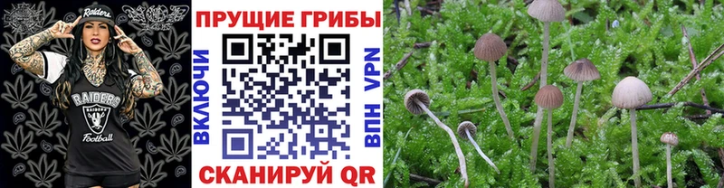 Псилоцибиновые грибы мухоморы  как найти   сайты даркнета как зайти  Ноябрьск 